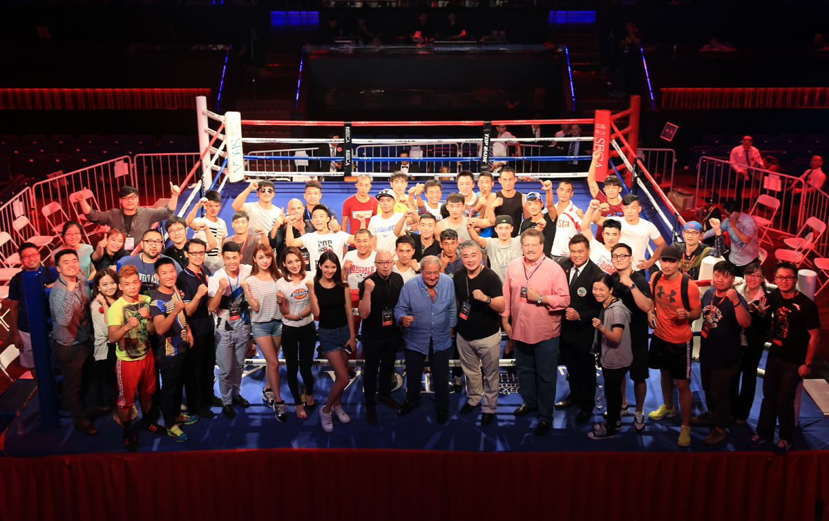 拳力聚焦，热血直播